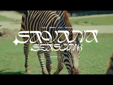 TOTU - SAVANA SEASON #6 Feat. RASHO, VOV, DEXTER