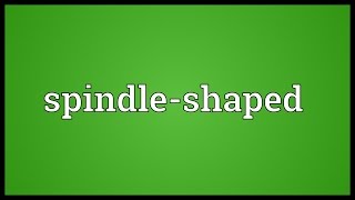 Spindle-shaped Meaning