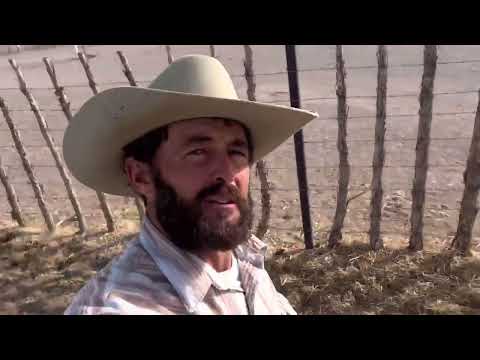 Meanwhile……….Back at the Ranch…….