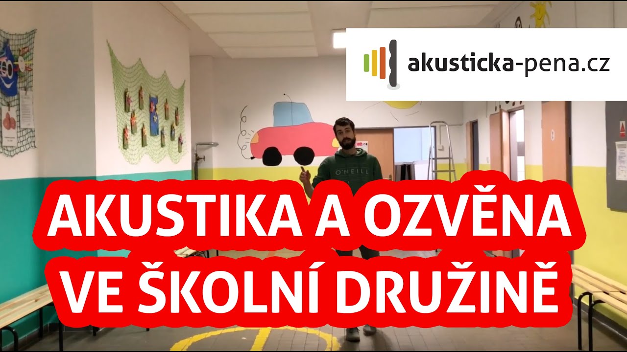 Přehrát video