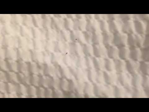 Courtyard Atlanta Airport South - 8/19/16