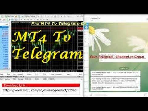 Video Pro MT4 To Telegram