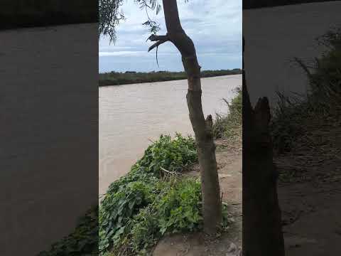 hoy conocemos río victoria #entrerios @PESCAURBANAOFICIAL #suscribete