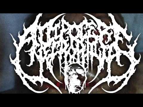 Adipocere Necrophilia「Funny Hole Cultivation」