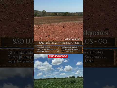 Fazenda em São Luís de Montes Belos Goiás / whatsapp 62 99373-6407