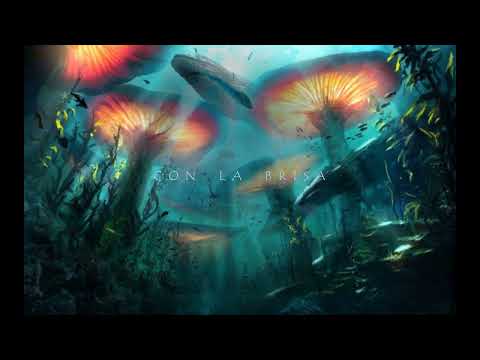 Con La Brisa | Deep Sea Version