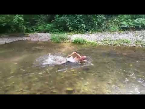 Swimming in the deep, Bregana