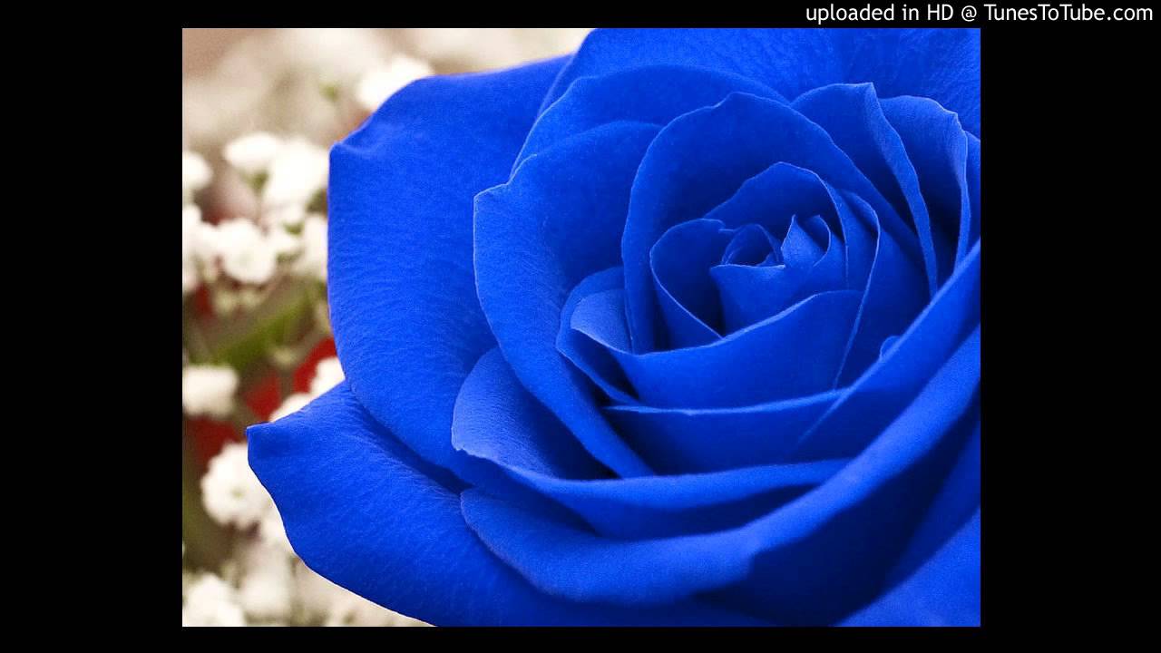 Today's Tango Is... Azulidad - Francisco Canaro 29-05-1929