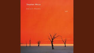 The Horses Of Nizami