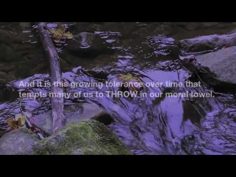 Harvard Prof. Jonathan L. Walton: Defeating Despair