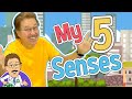 My 5 Senses 5 Senses Song Jack Hartmann