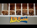 AIR BUDDIES Los Amigos