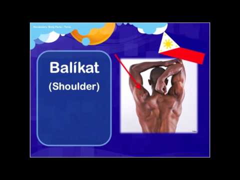 Mawalan ng Timbang sa NTV lahat ng bagay Serye Pharmaceutical fiber para sa pagbaba ng timbang na presyo