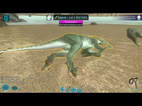 How to tame a Raptor for low level players Ark Mobile (updated)