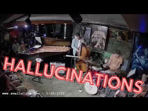 Hallucinations - Miki Yamanaka trio w/ Paul Sikivie & Jimmy Macbride NYC Smalls