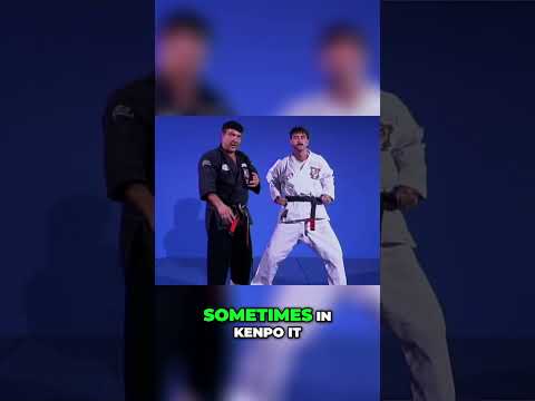 Kenpo Elastic Recoil