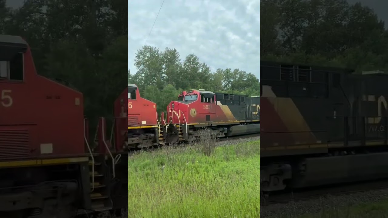 Chu Chu train 🚂 #train #chuchu #cargo #shortvideo #highlights #youtubeshorts #shorts