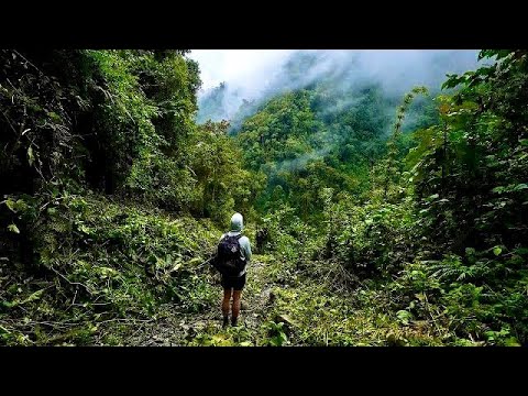 Hiking 40 miles in Los Nevados Colombia