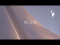 Peace (Official Lyric Video) - Bethel Music feat. We The Kingdom | Peace