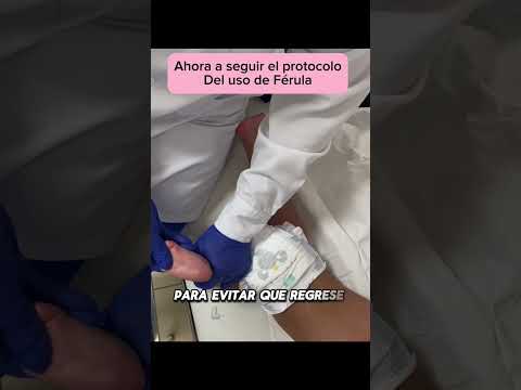 Ruben Sosa Arauco-13