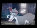 Lady And The Tramp Ever Chase Chickens Greek 1955