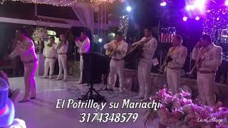 Video de Mariachi El Potrillo