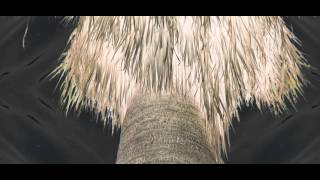 Send the pain on - Chrome Sparks (Music Video/School Project)