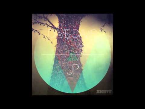 DAVE DAVIS - UP [SKINT RECORDS]