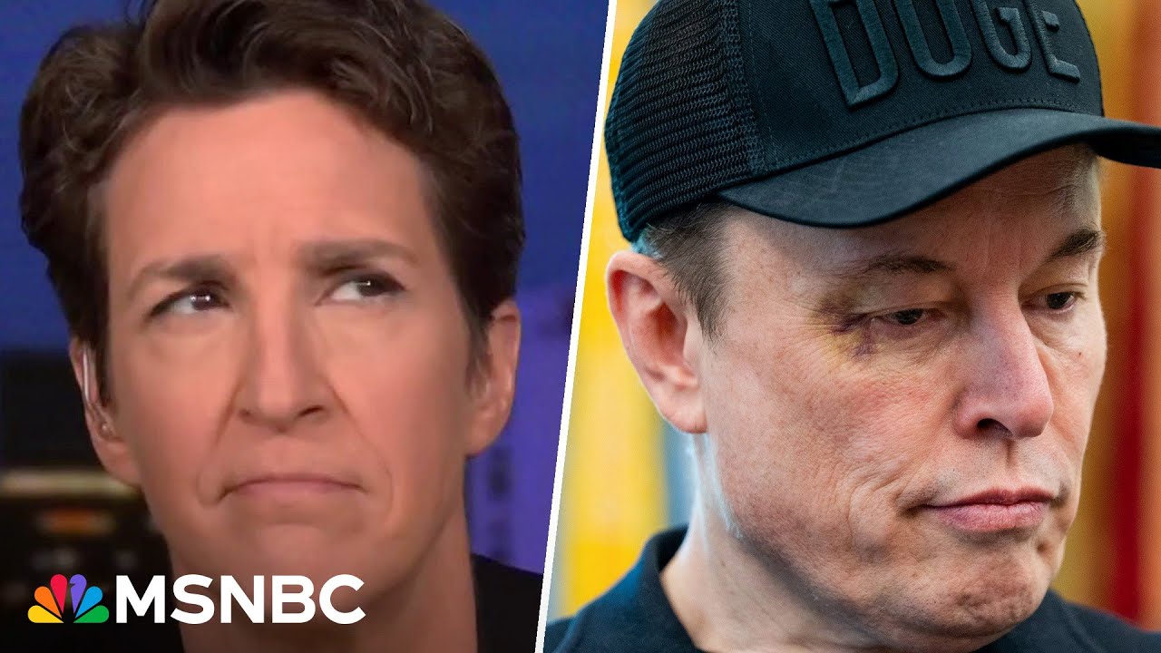 'Pure pointlessness and waste': Musk legacy seen in botched, illegal grab of independent group