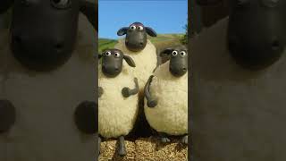 Download lagu Bounce!🐑🐑🐑#shaunthesheep #shorts #sports mp3