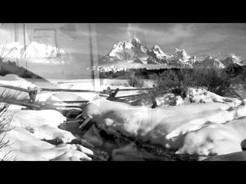 Deering - Lefthanded Banjo