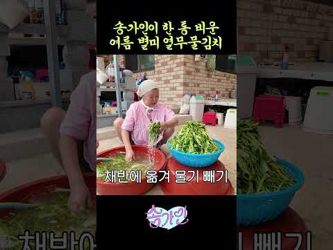 #송가인 엄마 열무물김치 레시피
