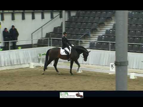 Sportprüfung Verden 2018 - Jovian