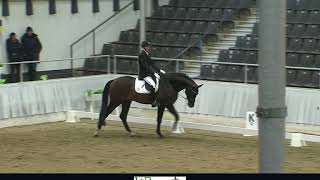 35 chevaux en lice pour représenter les Pays-Bas aux Championnats du Monde Jeunes Chevaux