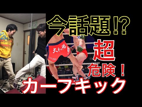 【危険】今話題のカーフキックを試してみた