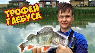 Ссылка