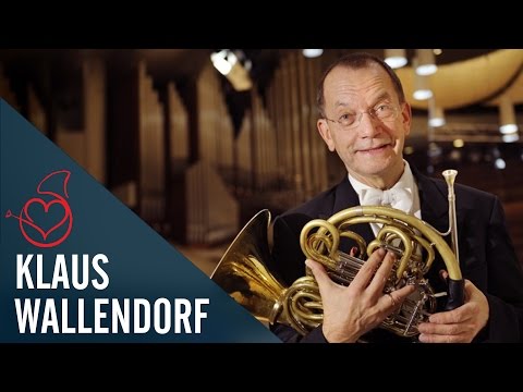 Klaus Wallendorf live in Berlin on Sarah´s Horn Hangouts