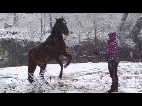 ❊ Dancing in the snow ❊