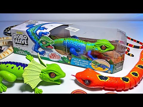 Lizards, Snakes, Turtles Collection - Cobra, Frill Necked Lizard, Coral Snake, Leatherback Turtle