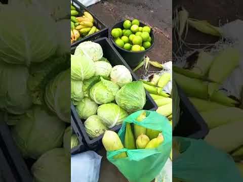 #FEIRA DE #NOVO #CRUZEIRO MG