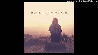 Dash Berlin - Never Cry Again