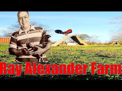 Lets Visit The Farm Of Ray Alexander Farm