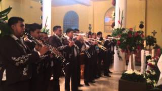preview picture of video 'Los Ocotes Gto. Las Mananitas 12/12/13'