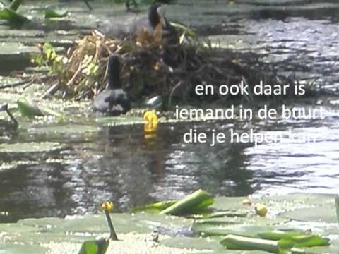 AFSCHEIDSLIED MET TEKST GROEP 8 2012
