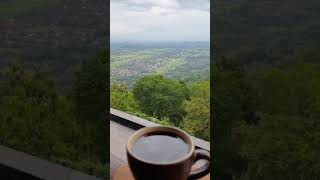 Download lagu Story Wa ngopi mp3 Download lagu Story Wa ngopi mp3