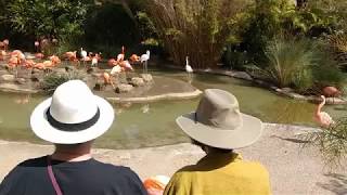 SD ZOO 2019 Number 2