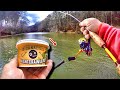 How To Catch BIG Fish With Worms From Walmart