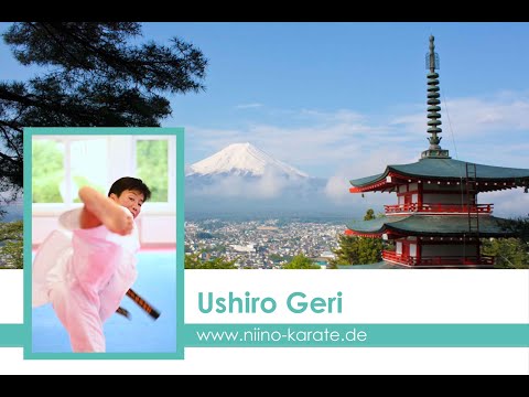 Warum Ushiro Geri viel einfacher ist, als Du denkst ;-)!!!