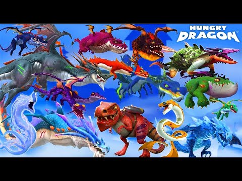 Hungry Dragon - ALL DRAGONS UNLOCKED | Android Gameplay 2020 [FHD]