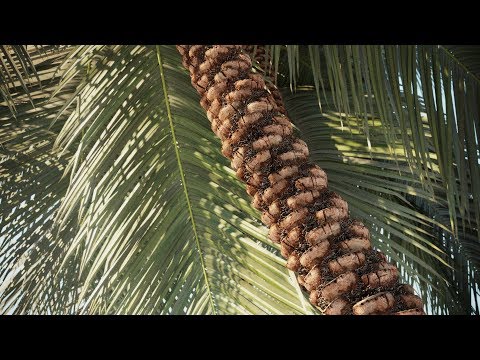 Archmaterials vol. 2 - PBR Materials collection